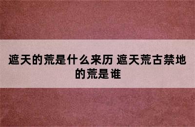 遮天的荒是什么来历 遮天荒古禁地的荒是谁